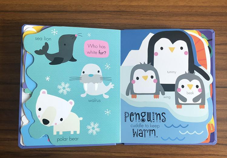 کتابهای صفحه رنگهای حیوانات 1